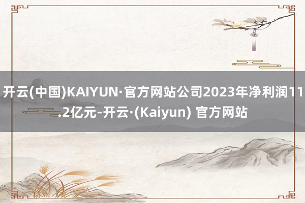 开云(中国)KAIYUN·官方网站公司2023年净利润11.2亿元-开云·(Kaiyun) 官方网站