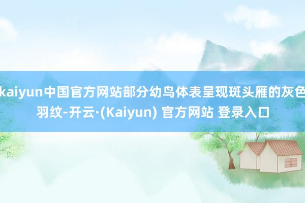 kaiyun中国官方网站部分幼鸟体表呈现斑头雁的灰色羽纹-开云·(Kaiyun) 官方网站 登录入口
