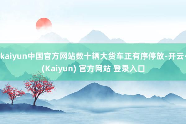 kaiyun中国官方网站数十辆大货车正有序停放-开云·(Kaiyun) 官方网站 登录入口