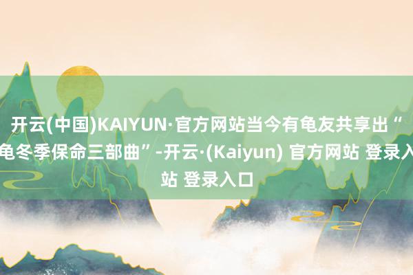 开云(中国)KAIYUN·官方网站当今有龟友共享出“乌龟冬季保命三部曲”-开云·(Kaiyun) 官方网站 登录入口