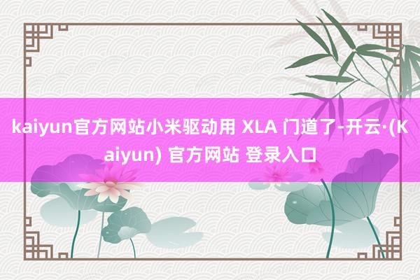 kaiyun官方网站小米驱动用 XLA 门道了-开云·(Kaiyun) 官方网站 登录入口